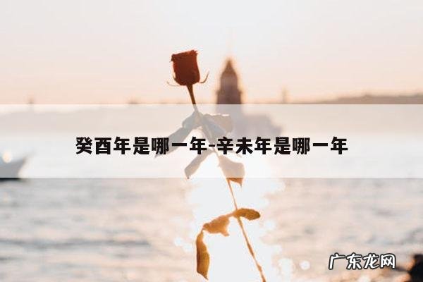 癸酉年是哪一年-辛未年是哪一年