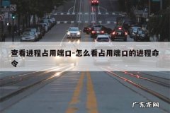 查看进程占用端口-怎么看占用端口的进程命令