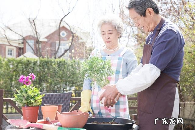 老人出门必带哪些物品 老人出门需要带什么