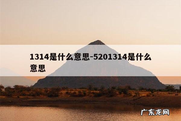 1314是什么意思-5201314是什么意思