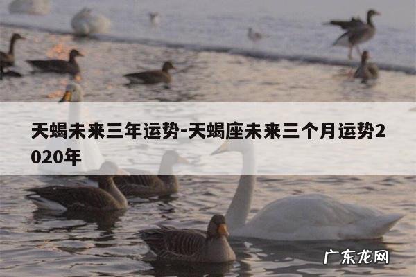 天蝎未来三年运势-天蝎座未来三个月运势2020年