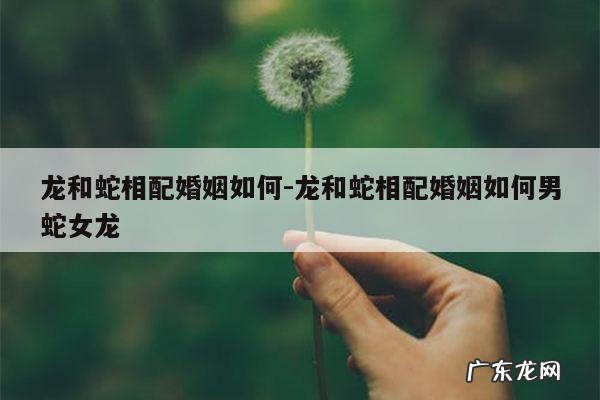龙和蛇相配婚姻如何-龙和蛇相配婚姻如何男蛇女龙