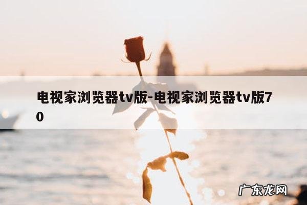电视家浏览器tv版-电视家浏览器tv版70