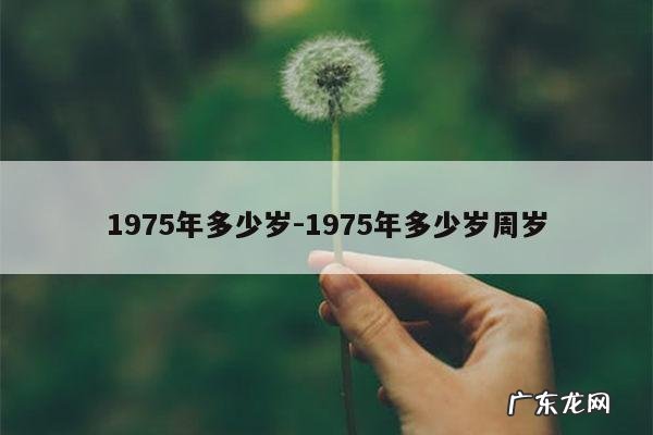 1975年多少岁-1975年多少岁周岁