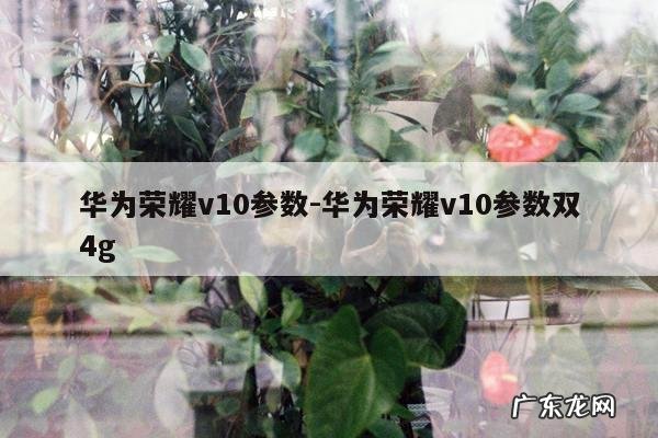 华为荣耀v10参数-华为荣耀v10参数双4g