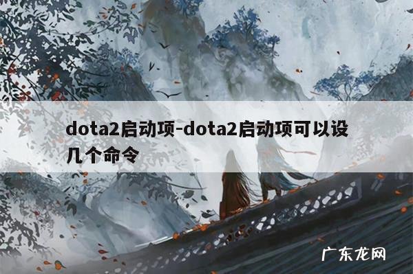 dota2启动项-dota2启动项可以设几个命令