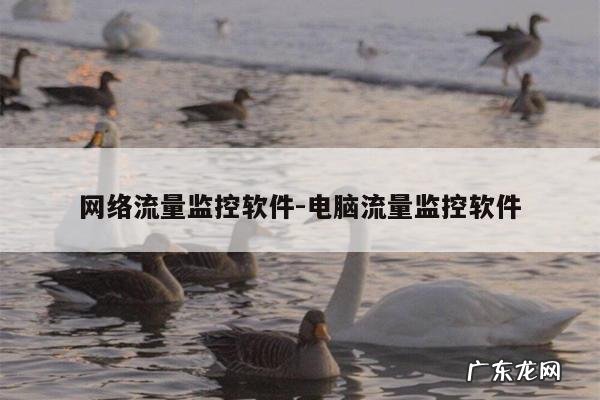 网络流量监控软件-电脑流量监控软件