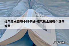 煤气热水器哪个牌子好-煤气热水器哪个牌子好些