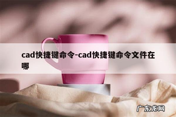 cad快捷键命令-cad快捷键命令文件在哪