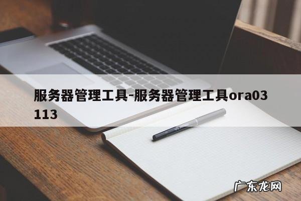 服务器管理工具-服务器管理工具ora03113