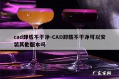 cad卸载不干净-CAD卸载不干净可以安装其他版本吗