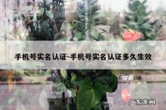 手机号实名认证-手机号实名认证多久生效