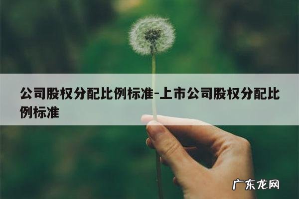 公司股权分配比例标准-上市公司股权分配比例标准