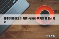 谷歌浏览器怎么更新-电脑谷歌浏览器怎么更新