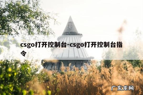 csgo打开控制台-csgo打开控制台指令
