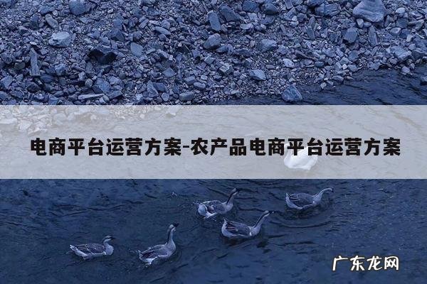 电商平台运营方案-农产品电商平台运营方案