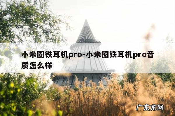 小米圈铁耳机pro-小米圈铁耳机pro音质怎么样