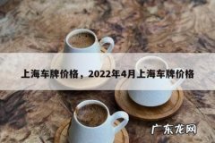 上海车牌价格，2022年4月上海车牌价格