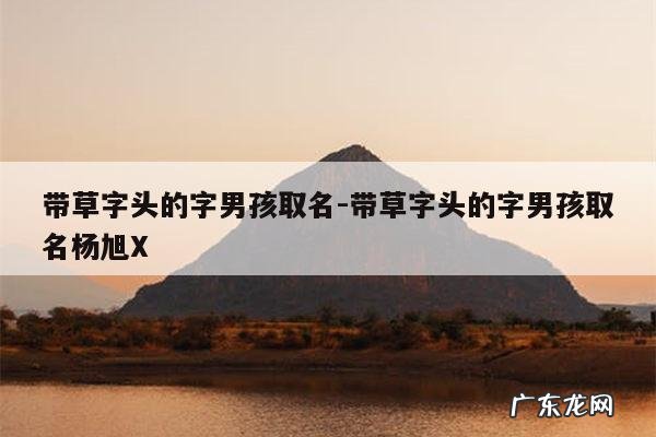 带草字头的字男孩取名-带草字头的字男孩取名杨旭X