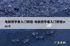 电脑初学者入门教程-电脑初学者入门教程word