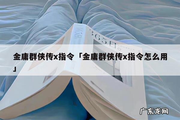 金庸群侠传x指令「金庸群侠传x指令怎么用」