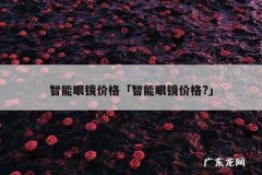 智能眼镜价格「智能眼镜价格?」