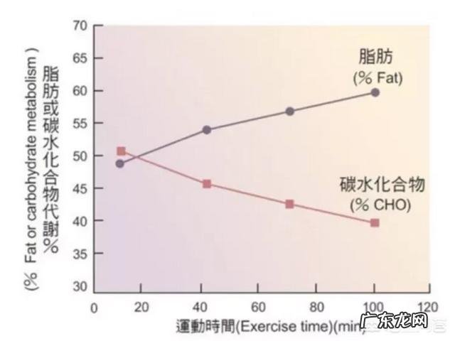 什么样的无氧运动燃脂效果好