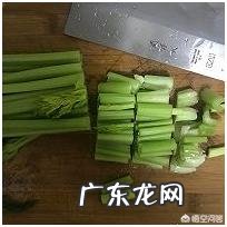 过年吃胖了,该如何减肥?