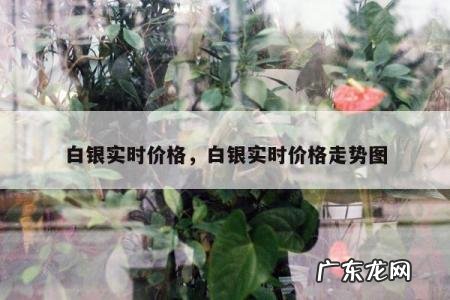 白银实时价格，白银实时价格走势图