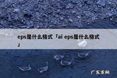 eps是什么格式「ai eps是什么格式」
