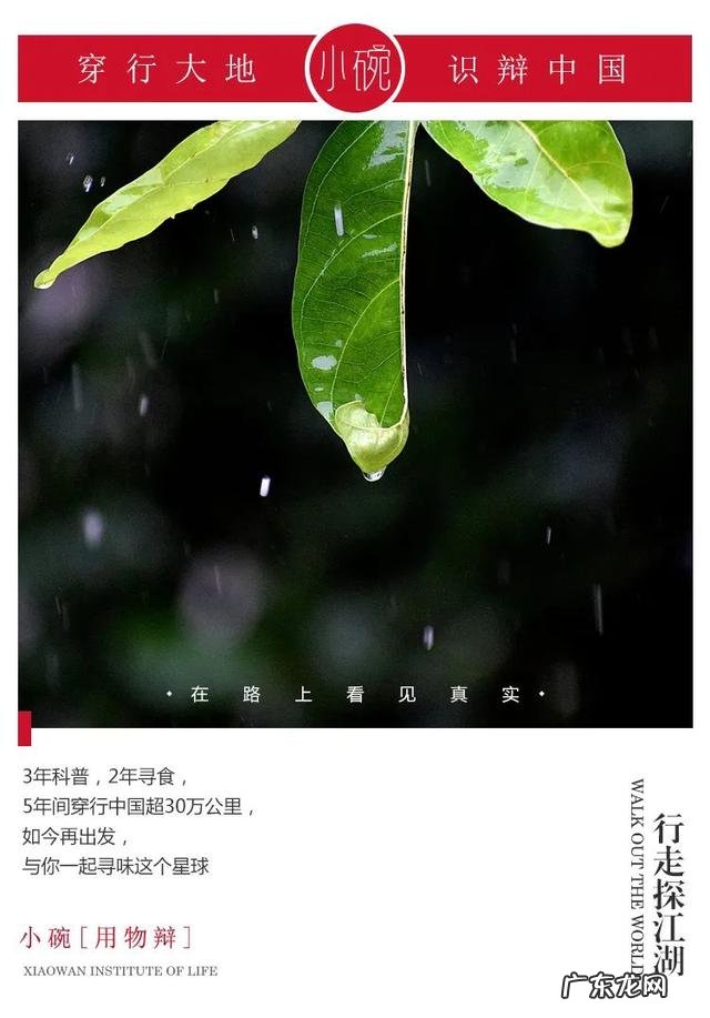 俞夏代言的“竹炭吸油茶”有没有效果啊。会不会是骗人的啊