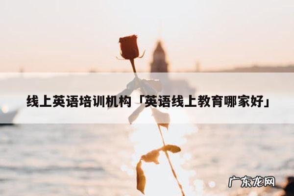 线上英语培训机构「英语线上教育哪家好」
