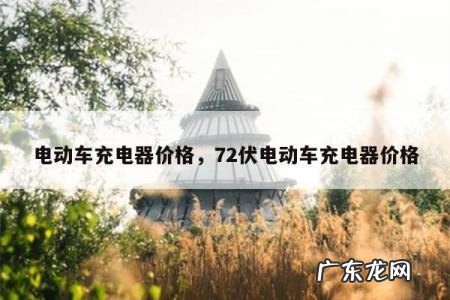 电动车充电器价格,72伏电动车充电器价格