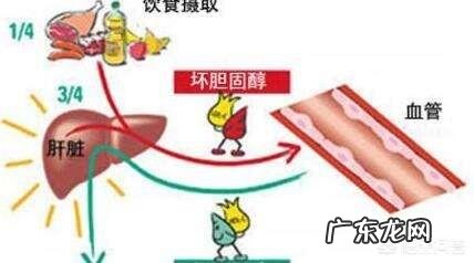 人瘦血压高胆固醇又高,是什么原因?