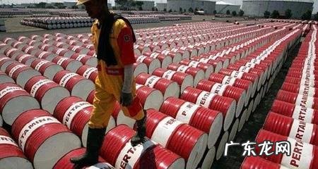 什么是蛋白质营养不良大鼠模型?