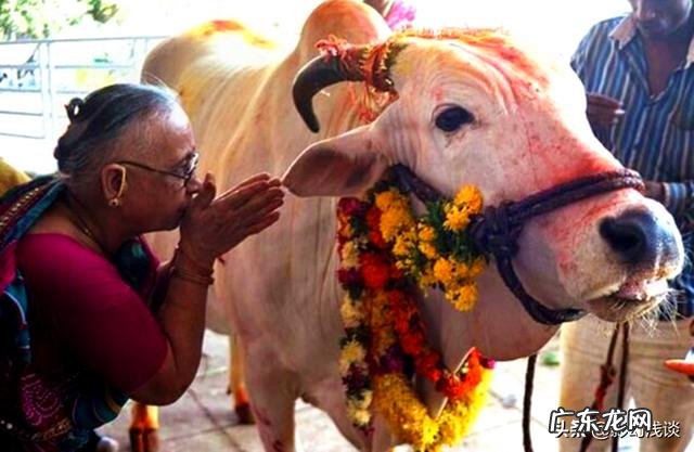 印度人把牛当做神灵，为什么还要吃牛肉？