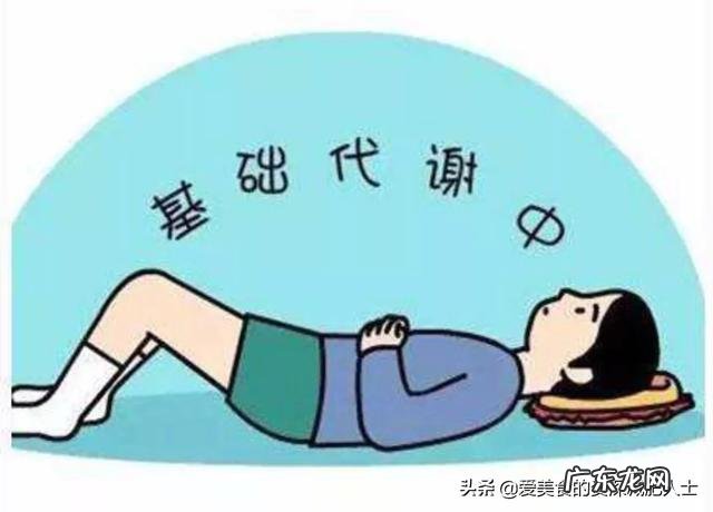 三餐正常吃，为什么还是胖了？