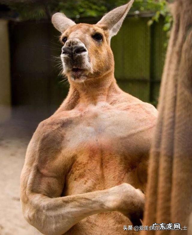 三餐正常吃，为什么还是胖了？