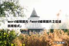 word编辑图片「word编辑图片之后返回原格式」