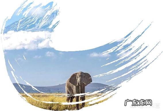 如何做出有设计感的PPT封面?