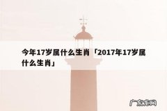 今年17岁属什么生肖「2017年17岁属什么生肖」