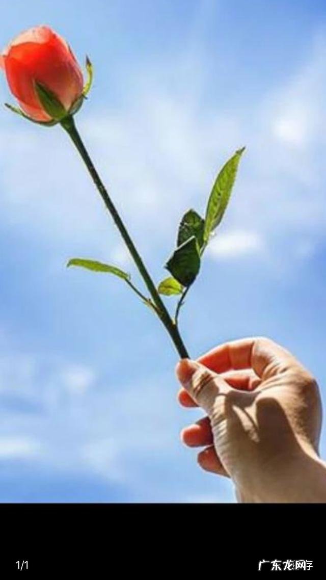 现实生活中婆媳关系处的不好,大家都是怎么处理的?该迁就谁?