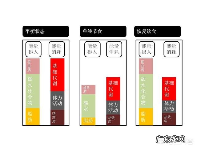 减肥就是少吃多动,可为何坚持很久还是胖?