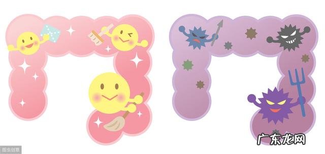 辟谣|越吃越瘦的食物真的存在吗科学家来给我们揭秘