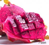 怎样才能让火龙果榨出来的汁加热后不变色