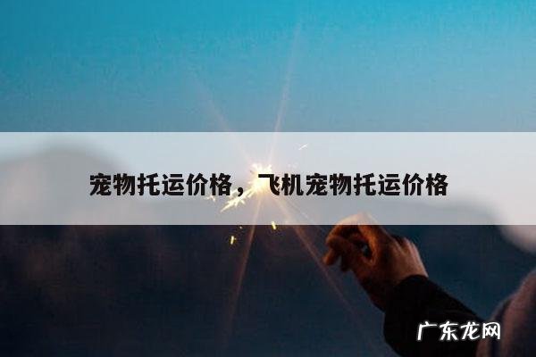 宠物托运价格,飞机宠物托运价格