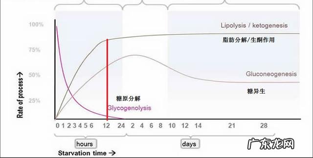 几个常见减肥问答:喝水会发胖吗怎么吃才最减肥