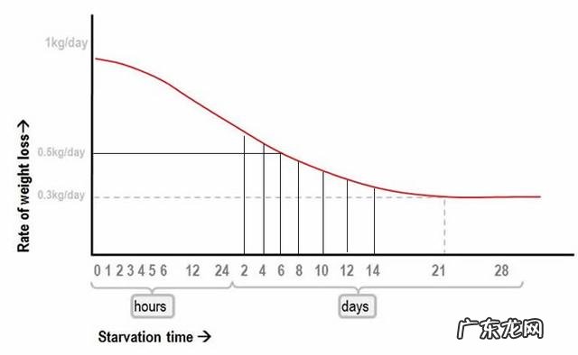 几个常见减肥问答:喝水会发胖吗怎么吃才最减肥