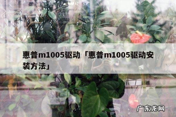 惠普m1005驱动「惠普m1005驱动安装方法」