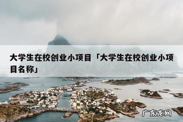 大学生在校创业小项目「大学生在校创业小项目名称」
